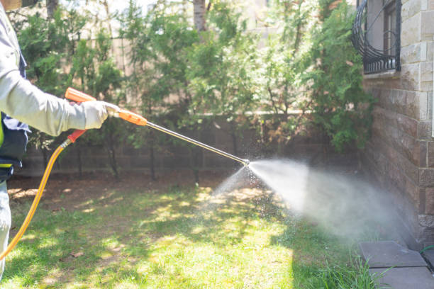 Best Best Pest Control Companies  in Timnath, CO