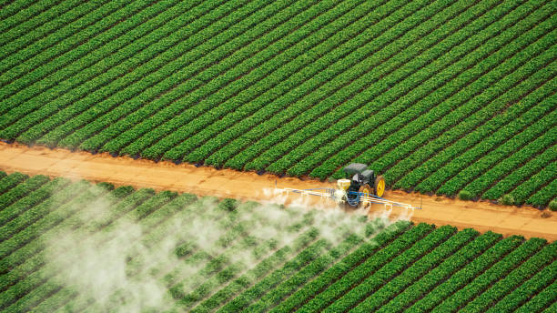 Best Mosquito Control Services  in Timnath, CO